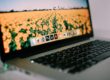 Adobe banner blog digital experts